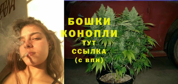 скорость Белокуриха