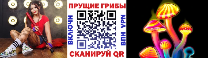 Галлюциногенные грибы GOLDEN TEACHER  Кузнецк 