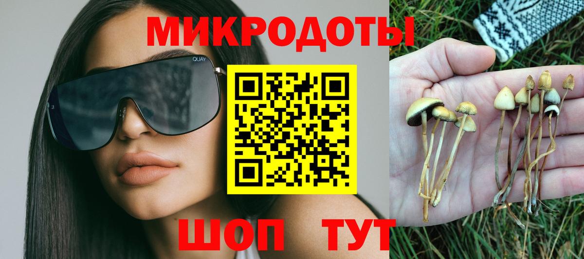 Псилоцибиновые грибы мухоморы Кузнецк