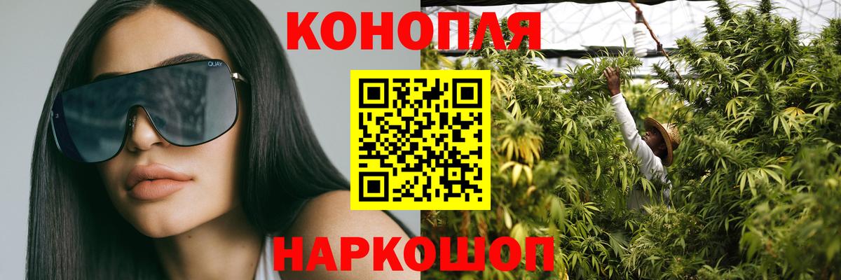 Конопля план  Конопля ГИДРОПОН  Вход с VPN  Кузнецк 